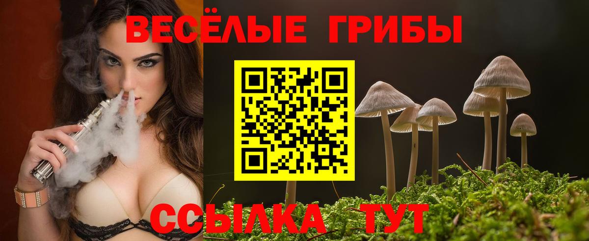 Галлюциногенные грибы MAGIC MUSHROOMS Губкин
